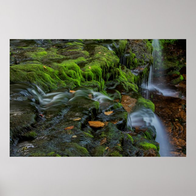 Póster USA, Pennsylvania, Benton, Ricketts Glen State (Frente)