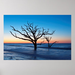 Póster USA, South Carolina, Edisto Island, Botany Bay