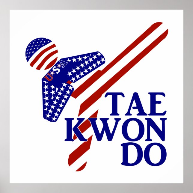 Póster USA Taekwondo Kick (1) (Frente)