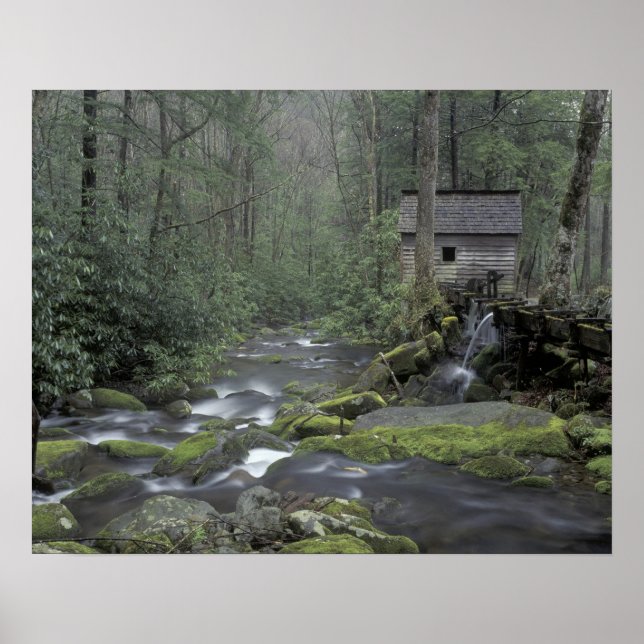 Póster USA, Tennessee, Great Smoky Mountains National 3 (Frente)