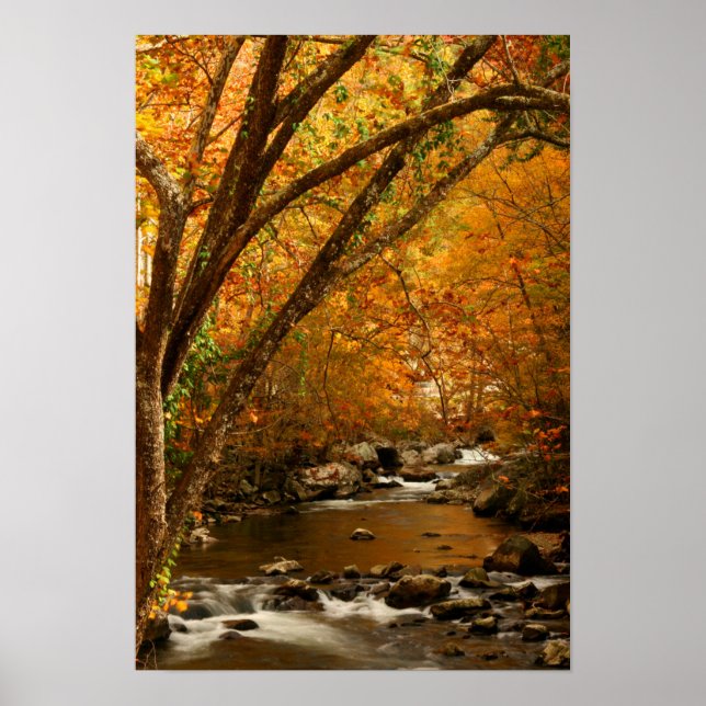 Póster USA, Tennessee. Rushing Mountain Creek 3 (Frente)
