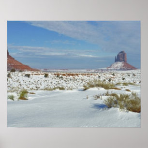 Póster USA, Utah, Monument Valley. Sagebrush shows