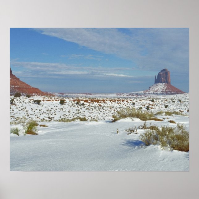 Póster USA, Utah, Monument Valley. Sagebrush shows (Frente)