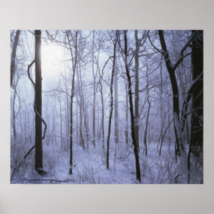 Póster USA, Virginia, Richard Thompson Wildlife Area.