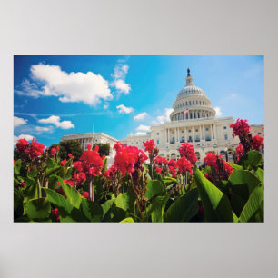 Póster USA, Washington DC, Capitol Building