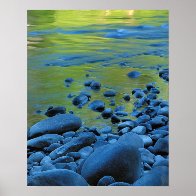 Póster USA, Washington, Olympic National Park 3 (Frente)