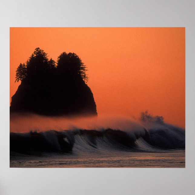 Póster USA, Washington, Olympic National Park, Sea (Frente)
