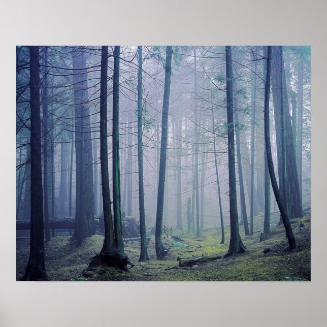Póster USA, Washington, Orcas Island, Moran State Park (Frente)