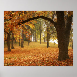 Póster USA, Washington, Spokane, Manito Park, Autumn 2