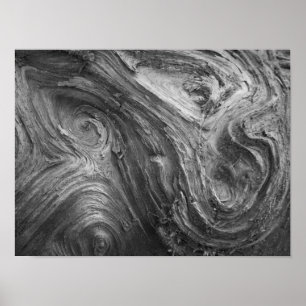 Póster USA, Washington State. Douglass Fir