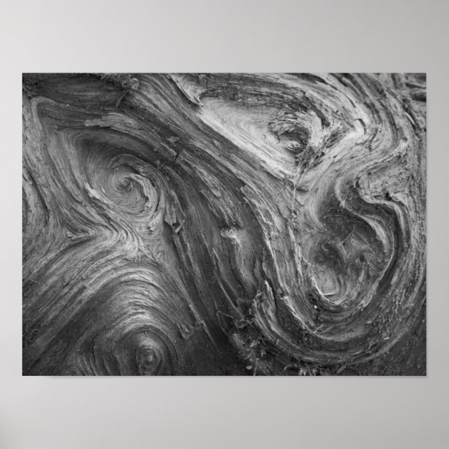 Póster USA, Washington State. Douglass Fir (Frente)