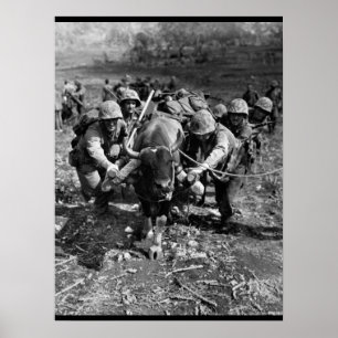 Póster Usando cada imagen means_War disponible