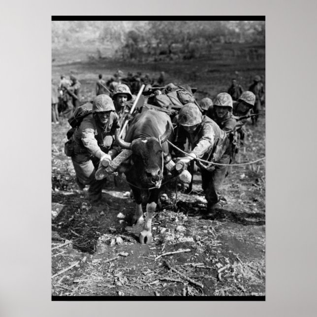 Póster Usar cada medio disponible_War Image (Frente)