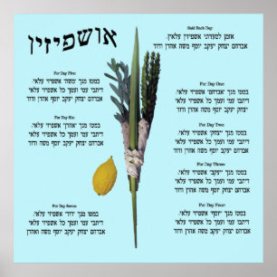 Póster Ushpizin & Arba Minim (4 especies)