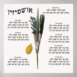 Póster Ushpizin & Arba Minim (4 especies)