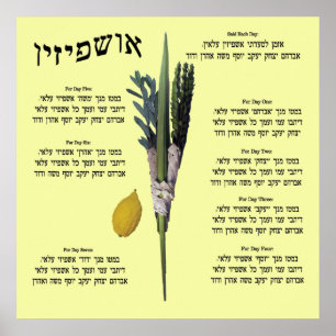 Póster Ushpizin y Arba Minim (4 especies)