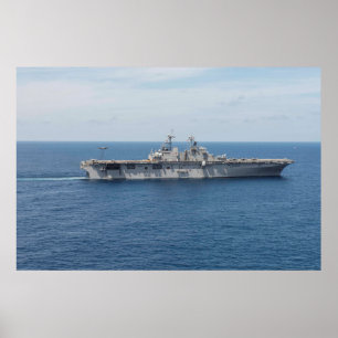 Póster USS Wasp (LHD 1)