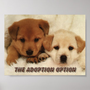 Póster ¿Usted esperará para adoptar un animal?