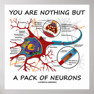 Póster Usted No Es Más Que Un Paquete De Neuronas (Sinaps