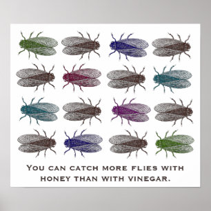 Póster Usted puede coger más vuela con la miel que el
