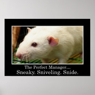 Póster Usted tiene todas las cualidades de un gran gerent