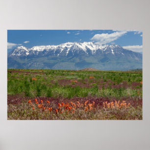 Póster Utah, EE. UU. El monte Timpanogos se eleva sobre