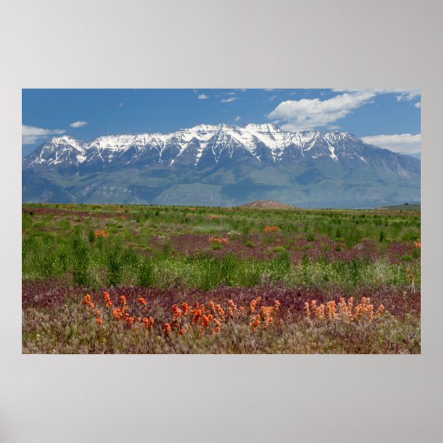 Póster Utah, EE. UU. El monte Timpanogos se eleva sobre (Frente)