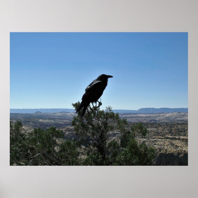 Póster Utah Raven (Frente)