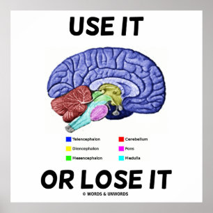 Póster Utilícelo O Pérdelo (Asesoramiento Cerebral Anatóm