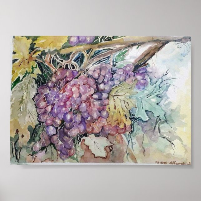Póster Uvas (Frente)
