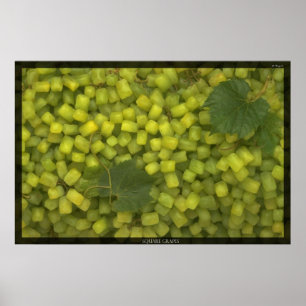 Póster Uvas cuadradas