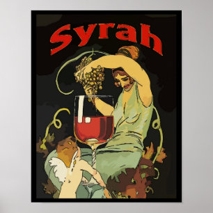 Póster Uvas de sira, vino