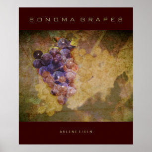 Póster Uvas de Sonoma en vid