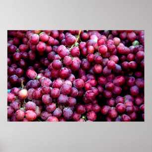 Póster Uvas de vino tinto