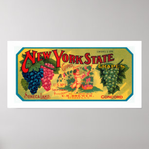 Póster Uvas del estado de Nueva York