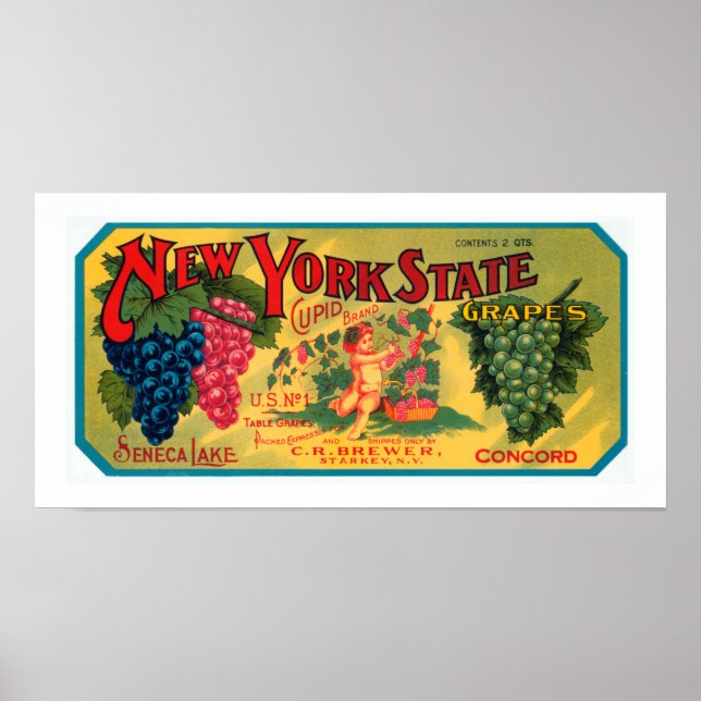 Póster Uvas del estado de Nueva York (Frente)
