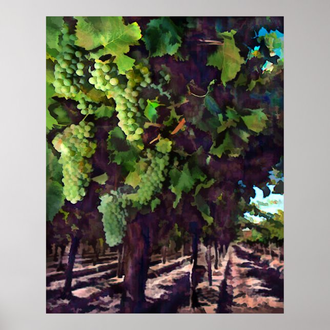 Póster Uvas en cascada (Frente)