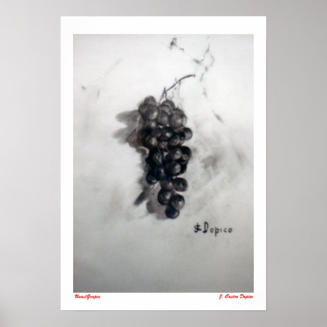 Póster Uvas/Grapes (Frente)