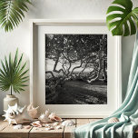Póster Uvas marinas imágenes de playa en blanco y negro<br><div class="desc">Mejore su espacio vital con la tranquila belleza de Júpiter Beach, Florida, capturada en este impresionante arte mural de Victoria Grigaliunas. Este poster de fotografía en blanco y negro muestra los detalles intrincados de las uvas marinas, aportando un toque de elegancia costera a su decoración. Perfecto para los amantes de...</div>