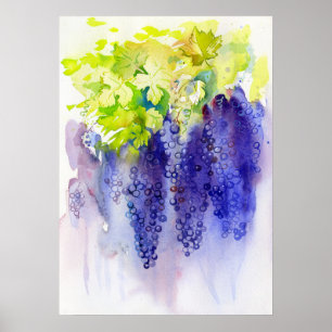 Póster Uvas Moradas Acuarela Viñedo Cocina