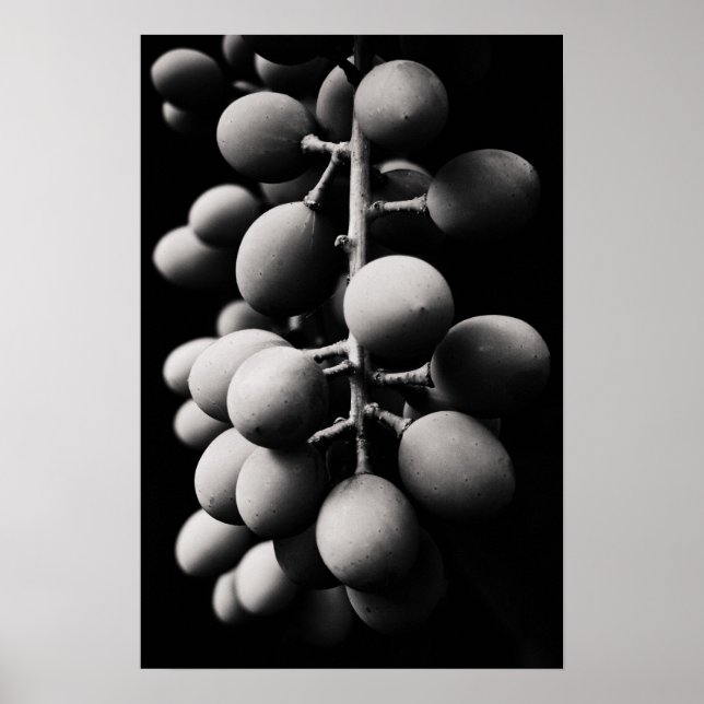 Póster uvas para un día amargo (Frente)