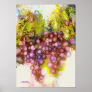 Póster uvas púrpuras, pintura de la acuarela