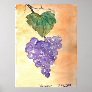 Póster Uvas silvestres