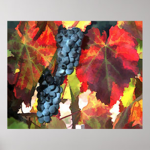 Póster Uvas y hojas del tiempo de cosecha