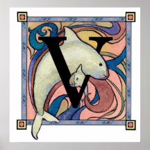 V is for Viva Vaquita