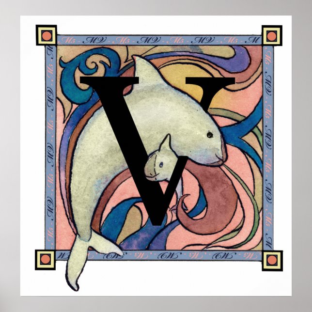 Póster V is for Viva Vaquita (Frente)