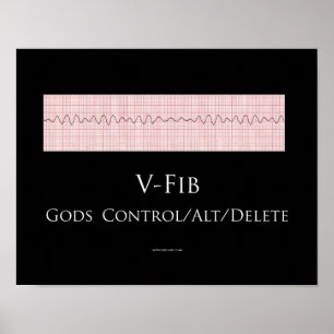 Póster V Poster Fib