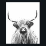 Póster Vaca blanca y negra de montaña<br><div class="desc">Retrato de vaca de las tierras altas en blanco y negro. Una gama de diseño fotográfico moderno de acuarela para los amantes de los animales para decorar su hogar, vivero u oficina. ¡Genial para ti mismo o como regalo! Personalízalo agregándole tu propio nombre u otro texto. Vea mi tienda para...</div>