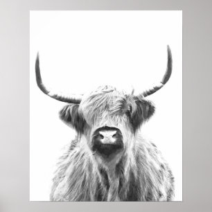 Póster Vaca blanca y negra de montaña