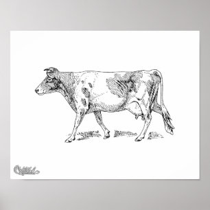 Póster Vaca de Guernesey